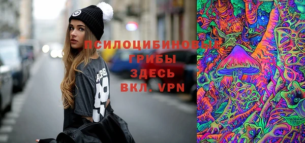 СК Абаза