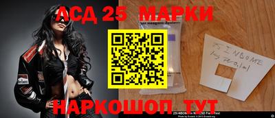 apvp Кингисепп