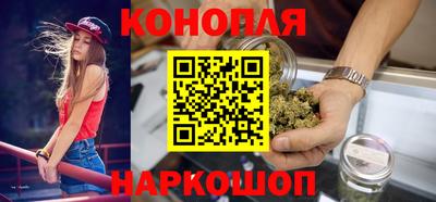крисы Кинель
