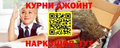 apvp Кингисепп