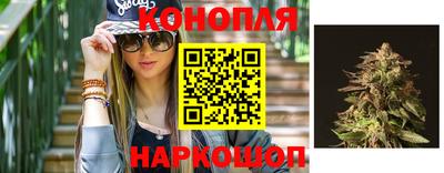 крисы Кинель