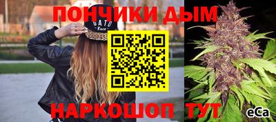 apvp Кингисепп