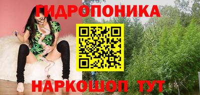 крисы Кинель
