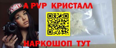 крисы Кинель