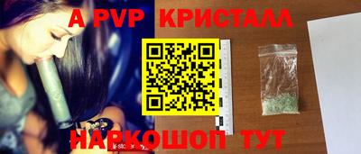 apvp Кингисепп