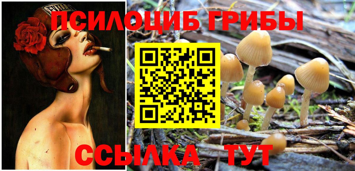 Псилоцибиновые грибы Cubensis  Галлюциногенные грибы GOLDEN TEACHER  Вход с VPN  Краснодар 